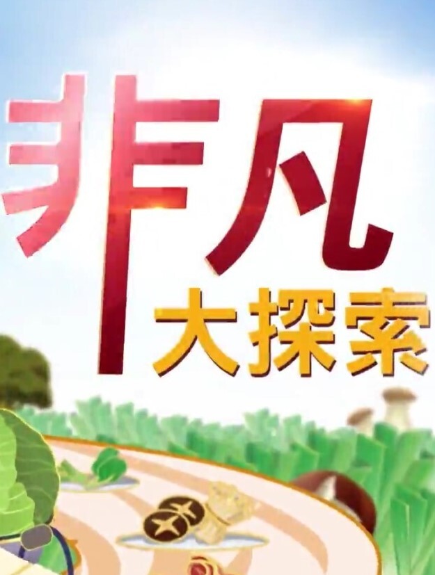 【宾馆上帝视角真实偸拍】丸子头小女友简直太骚了全程主动脱光自己舔男友肉棒女上位饥渴难耐 - 性爱小电影海报